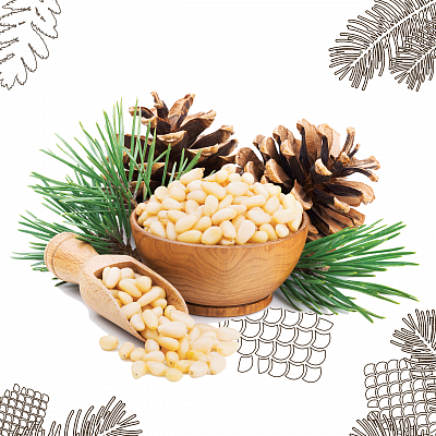 Фото Продукция из кедра