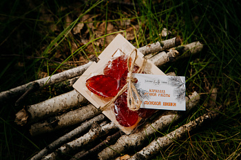 Мармелад из сосновой шишки 60 г