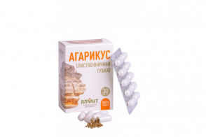 Агарикус Агарикус