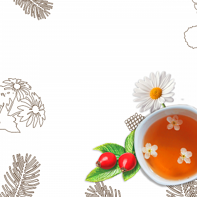 Фото Фиточай и травы