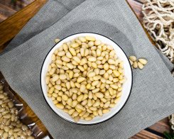 орех кедровый