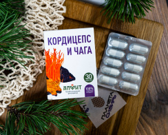 кордицепт_2 кордицепт_2