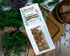 мужское здоровье