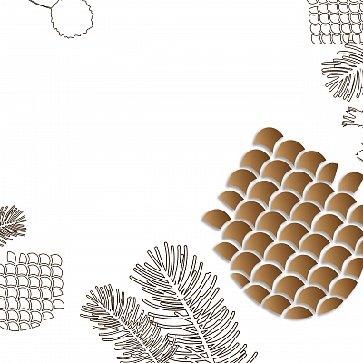 Фото Собственная марка